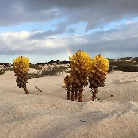 Pola Marinas Вілла Плайя-Бланка