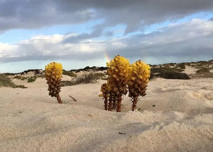 Pola Marinas فيلة بلايا بلانكا